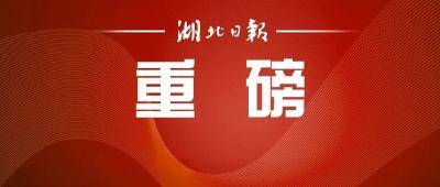 海报丨这20位精英上榜！首届“湖北省杰出人才奖”揭晓