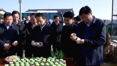 V视 | 襄阳市2021年美丽乡村补短板强弱项建设现场推进会与会人员来我市观摩