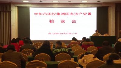 V视 | 市国投集团举办国有资产处置拍卖会  