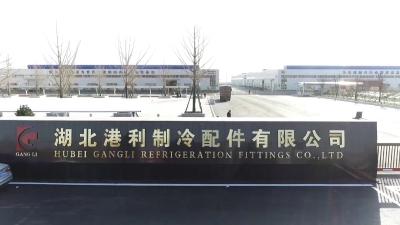 V视 | 湖北港利精密制冷智造项目：打造一流高科技制冷企业