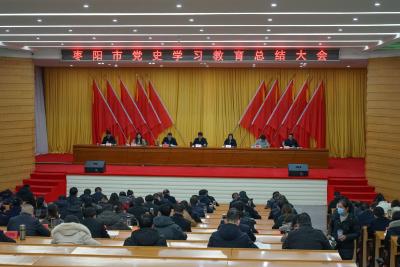 枣阳市召开党史学习教育总结会