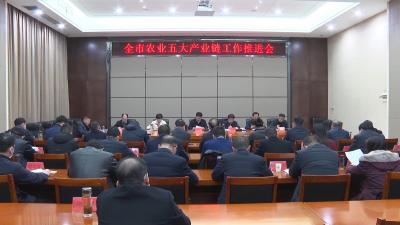 V视 | 市委书记孟艳清主持召开全市农业五大产业链工作推进会