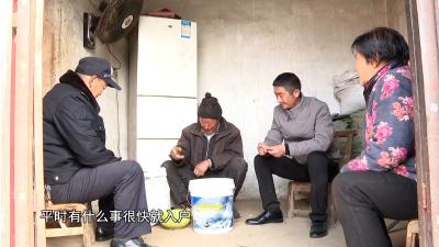 枣阳市太平镇：“一村一辅”打造基层治理第一道防线