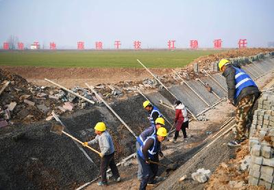 一年之计在于春|饭碗一起端 责任一起扛——各地压实责任共同端牢中国饭碗