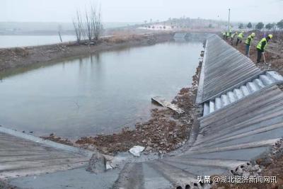 湖北枣阳建成高标准农田140万亩亩平增产100公斤以上