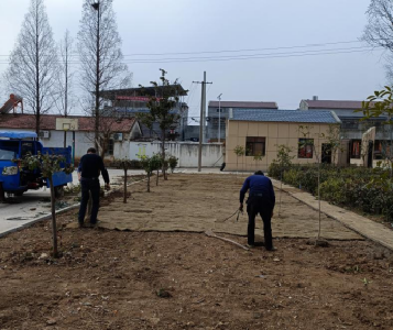 鹿头镇方百堰小学：不负春光绿植忙