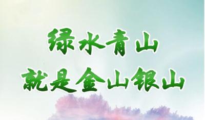 公益广告 | 绿水青山就是金山银山
