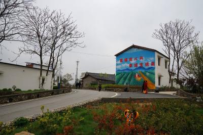 枣阳金银村：花开一村春色新