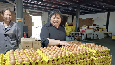 枣阳：“草根”创业者打造年产值4亿元蛋品产业