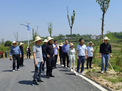 王城镇：“五合一”现场观摩 助力乡村振兴