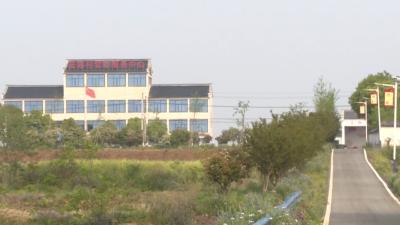 【奋进新征程 建功新时代·乡村振兴在行动】V视 | 东郊村：创建“清廉村居” 助力乡村振兴