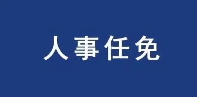 政协枣阳市第九届委员会常务委员会人事任免决定