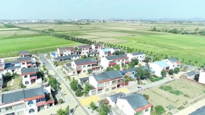 枣阳市推进清廉村居建设 赋能乡村振兴