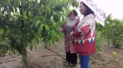 【劳动最光荣 奋斗最幸福】谢厚荣：大胆尝试新品种 带领一方人致富