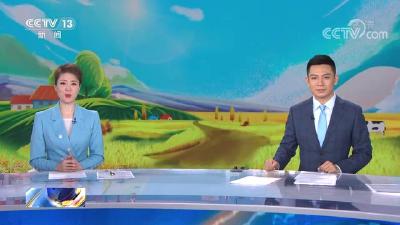 枣阳麦收五上央视！CCTV — 13频道《新闻30分》《新闻直播间》《24小时》等栏目五次播出湖北粮食主产区枣阳麦收工作