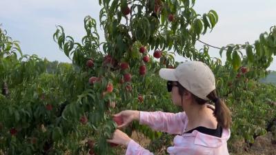【下基层 察民情 解民忧 暖民心】V视 | 市融媒体中心开启首场助农直播