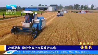 关注枣阳麦收！湖北卫视《湖北新闻》聚焦枣阳开辟小麦跨区机收“绿色通道”抢抓农时 确保夏粮颗粒归仓