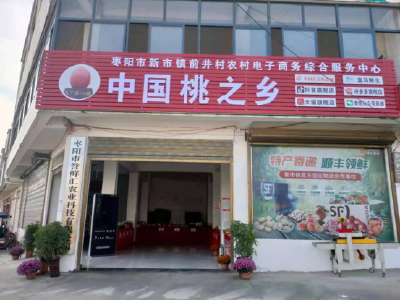 枣阳市新市镇前井村：以党建引领为抓手 激活乡村“造血”功能