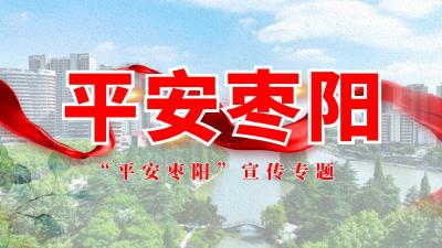 平安枣阳