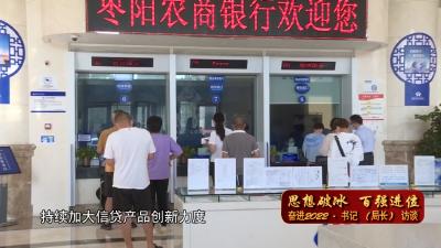 【思想破冰 百强进位 奋进2022·书记（局长）访谈】V视 | 枣阳农商行：思想破冰促转型 作风奋进谋发展