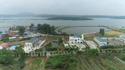 【奋进新征程 建功新时代·乡村振兴在行动】V视 | 刘升镇杨老湾村：完善基础设施建设 ，打造美丽田园风光