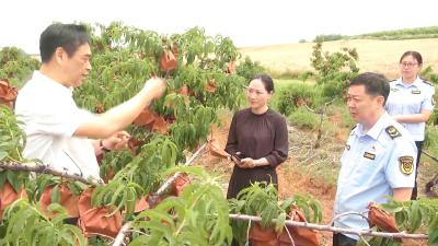 V视 | 市市场监管局：推进地理标志品牌建设 推动特色产业高质量发展