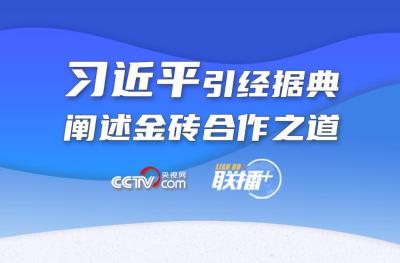 “典”亮全人类共同价值｜习近平引经据典阐述金砖合作之道