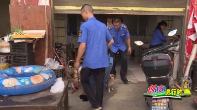 【创文进行时】V视 | 南城办事处建民巷“马路市场”消失 商户搬入新市场