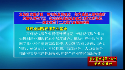 【深入学习贯彻省党代会精神】《省第十二次党代会报告摘要》