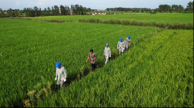 国网枣阳市供电公司：服务基层群众 保障抗旱用电