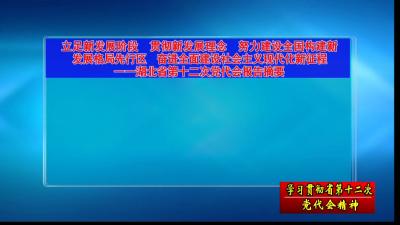 【深入学习贯彻省党代会精神】《省第十二次党代会报告摘要》