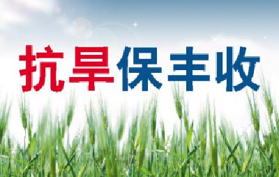 多地旱情引关注，会引发粮价、菜价上涨吗？