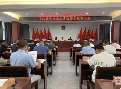 平林镇：强化廉政建设宣传教育