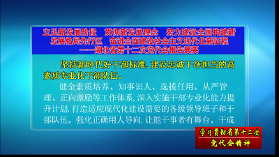 【深入学习贯彻省党代会精神】《省第十二次党代会报告摘要》 