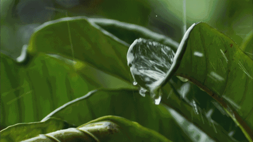“退烧雨”要来了！