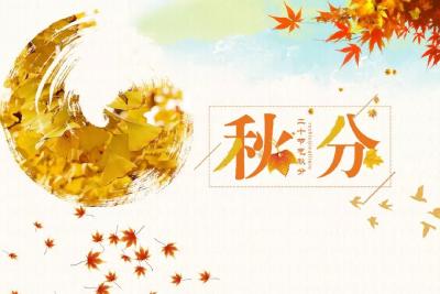 今日秋分，和丰收撞个满怀~