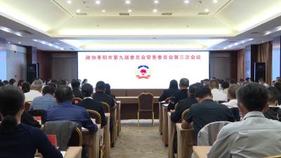 V视 | 政协枣阳市第九届委员会常务委员会第三次会议召开