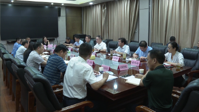 V视 | 我市召开公立医疗机构经营体系务虚会