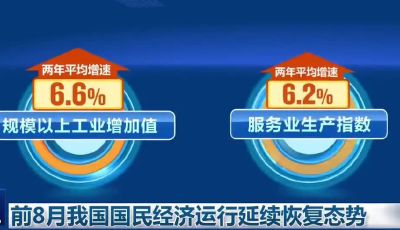 主要指标总体改善，恢复基础仍需巩固——聚焦前8个月国民经济运行数据