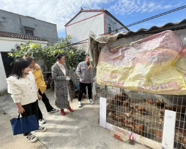 枣阳市残联对农村残疾人实用技术培训工作进行回访