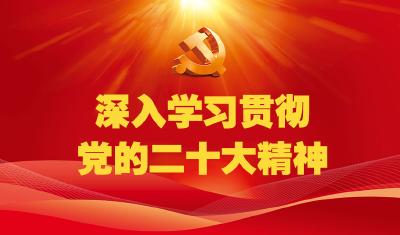 为实现中华民族伟大复兴中国梦一起来想、一起来干——各民主党派中央、全国工商联和无党派人士认真学习贯彻中共二十大精神