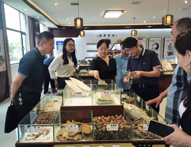 枣阳市卫健局：聚焦高质量发展 打好中药产业“组合拳”