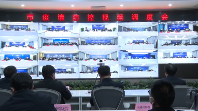 【疫情防控在行动】V视 | 我市召开疫情防控视频调度会议