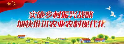 实施乡村振兴战略 加快推进农业农村现代化