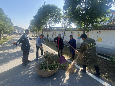 枣阳市吴店镇徐楼村：“红管家”助力共同缔造