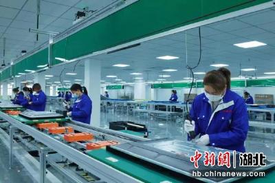 赞！中国新闻网刊发枣阳人才新政为高质量发展提供智力支撑