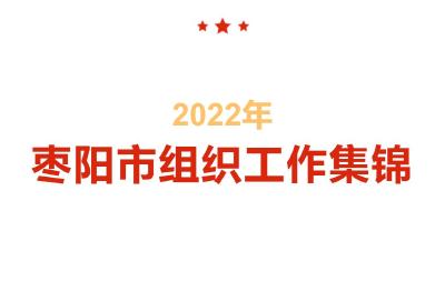 2022年枣阳市组织工作集锦