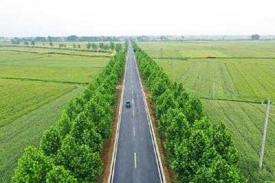 枣北美丽乡村示范路建设工程（杨垱镇张庄村至七方镇李巷段）完工