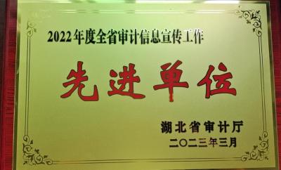 市审计局连续五年获得全省审计“信息宣传先进单位”