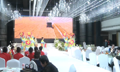 V视 | 市舞蹈家协会举办成立五周年展演活动